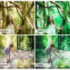 Forest Lightroom Presets