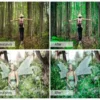 Forest Lightroom Presets