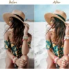 Summer Lightroom Presets