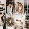 Winter Lightroom Presets