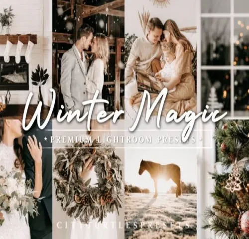 Winter Lightroom Presets